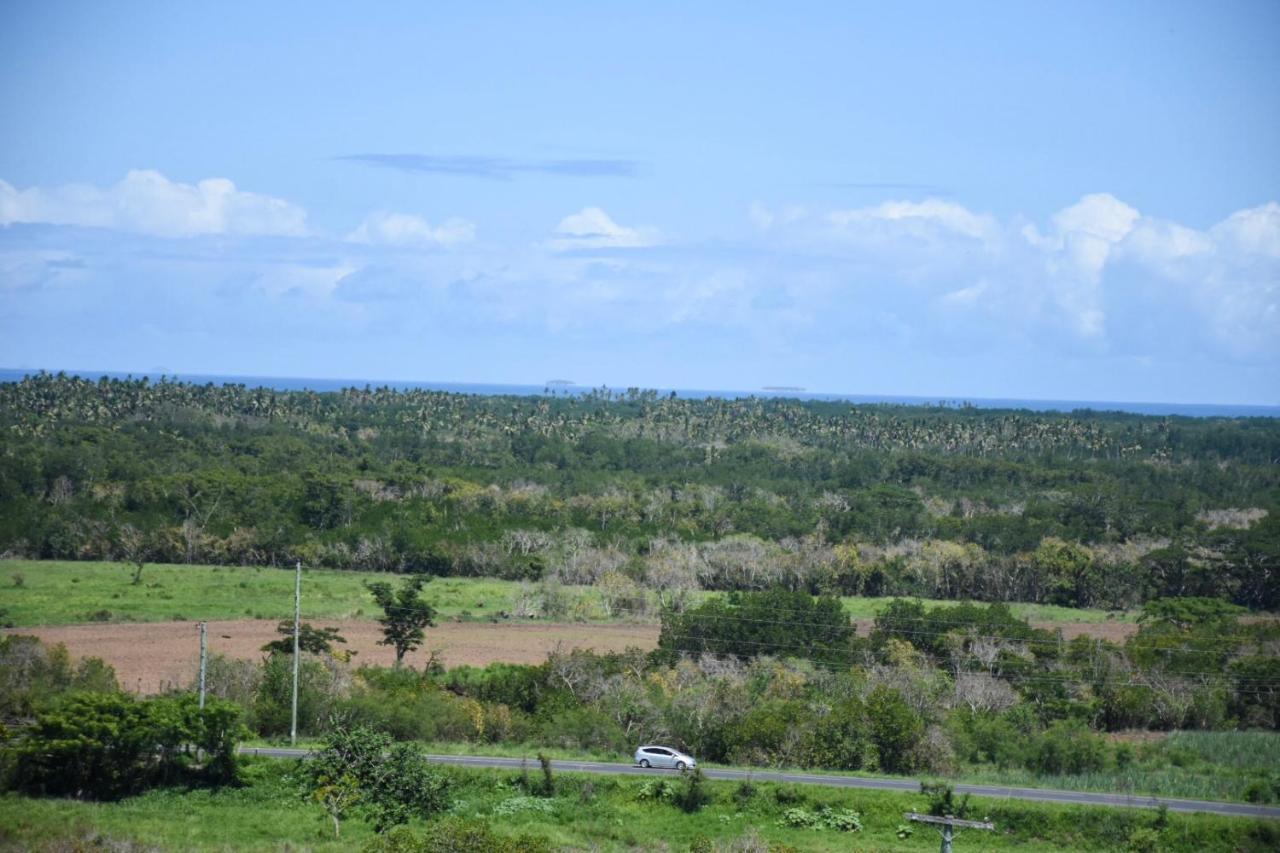 Best View Apartments Νάντι Εξωτερικό φωτογραφία